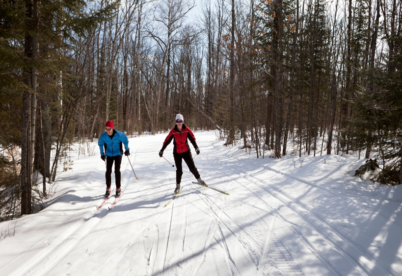 people cross-country skiing