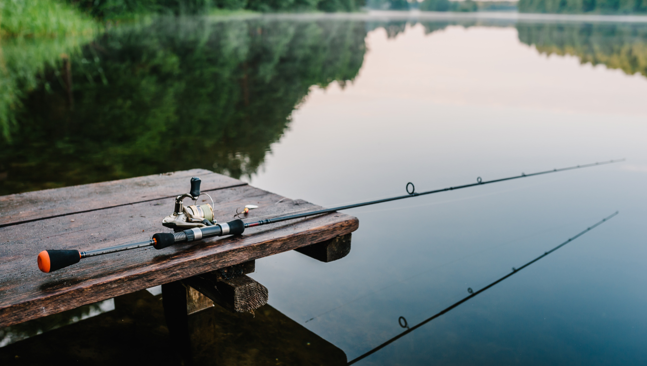 fishing rod and pond