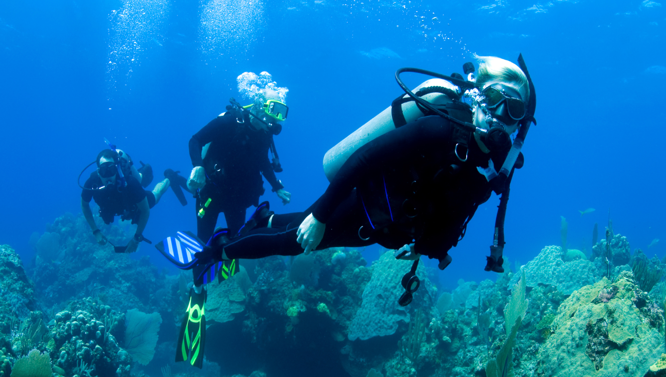 3 people scuba diving