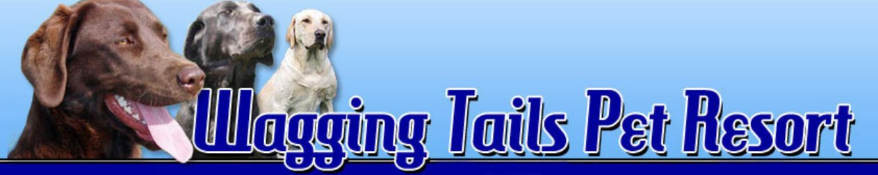 Wagging Tails Pet Resort Logo