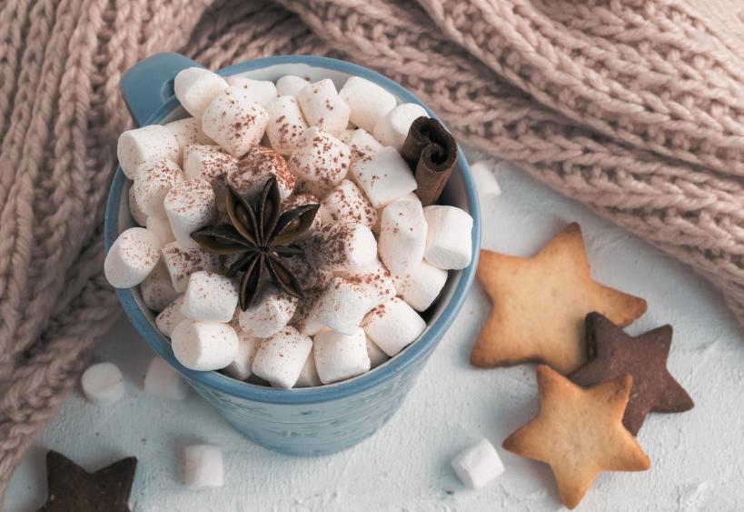 Mug of hot chocolate with marshmallows