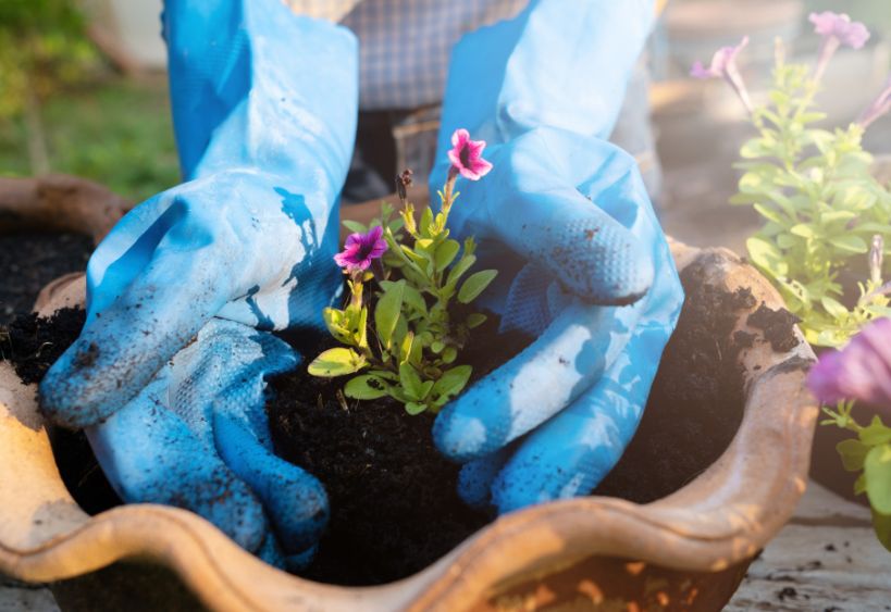  Person planting flowers in a pot while wearing gardening gloves