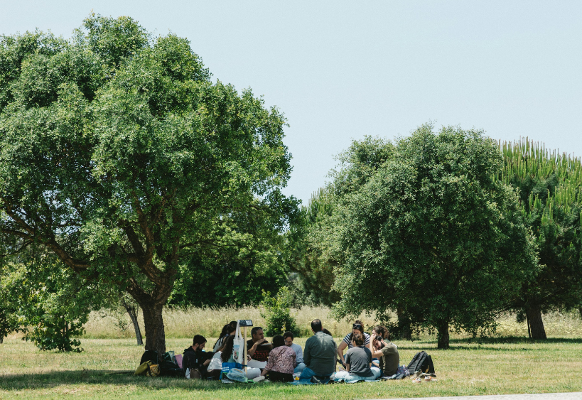 People gathering in a park