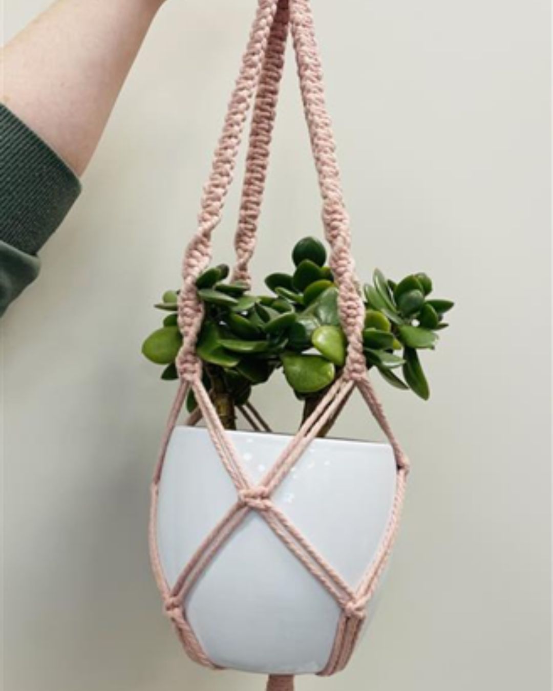 macrame plant hanger