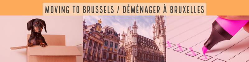 Text: Moving to Brussels with image of dog, Grand Place, and checklist