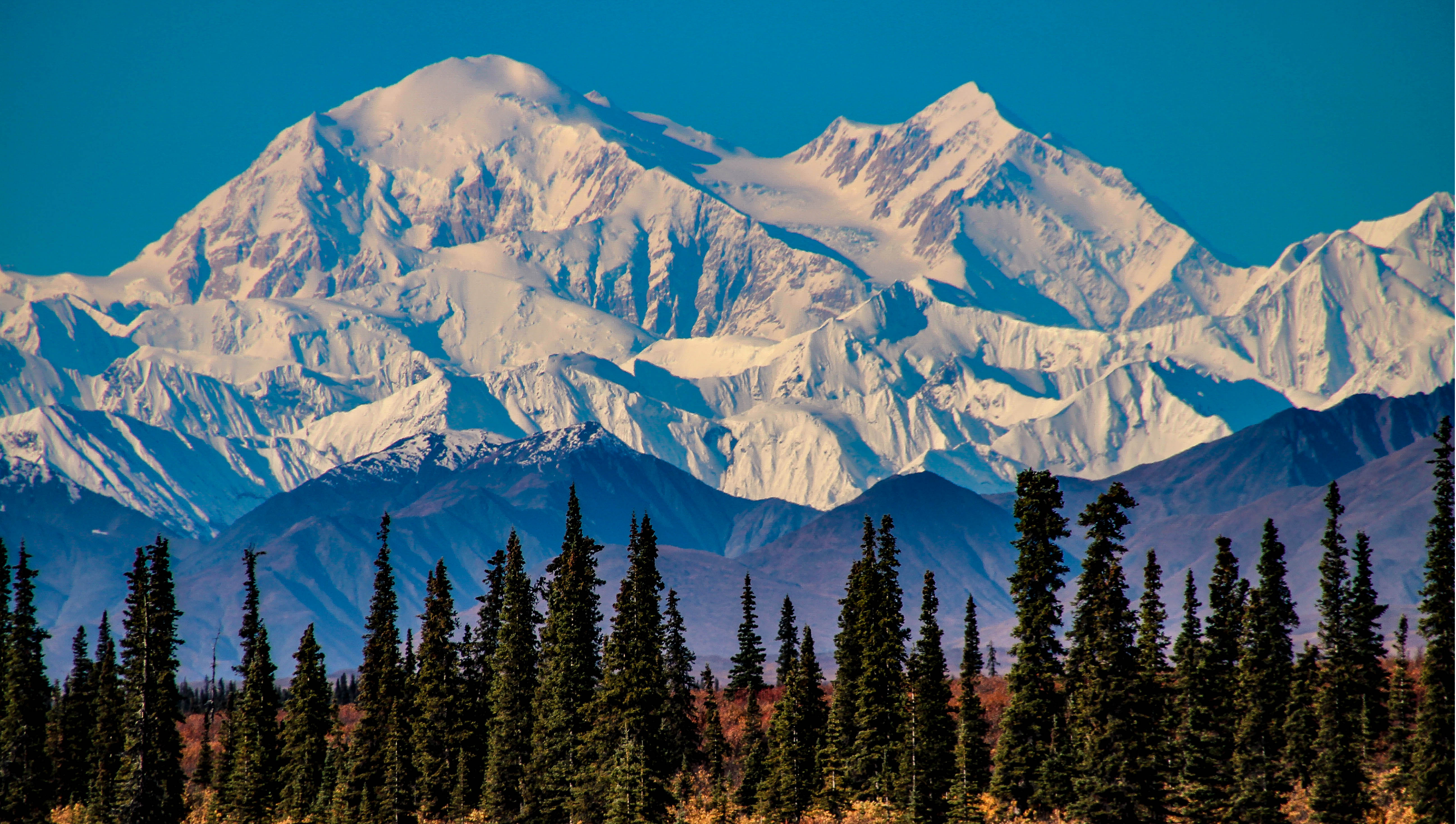 mountains and trees