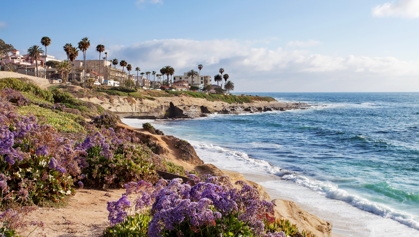 beach and water