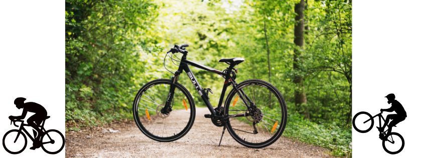 picture of a bicycle in the woods
