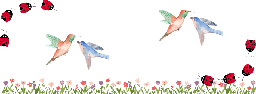 picture of birds, ladybugs & flowers