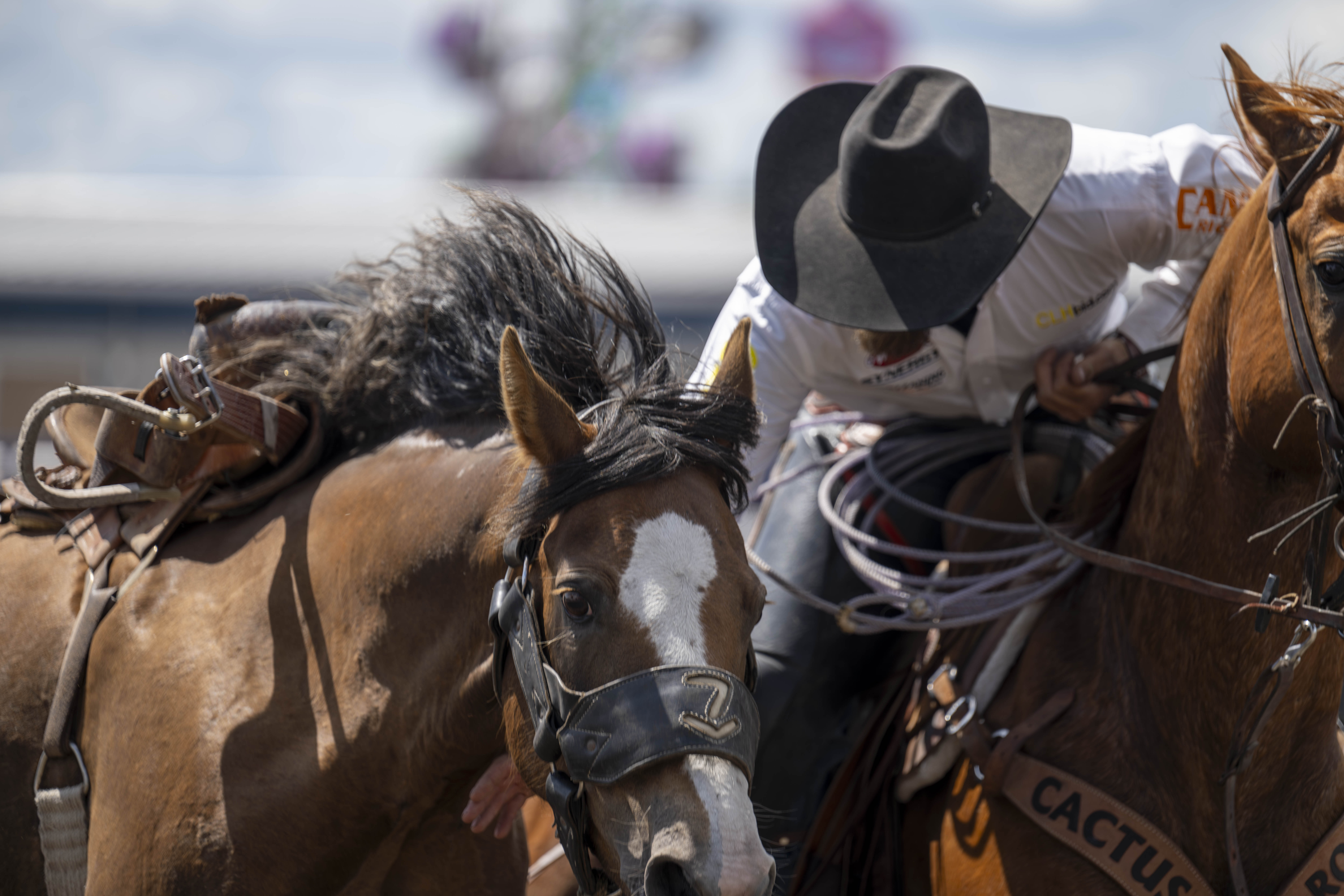 A cowboy on a horse guiding another horse out of the arena.