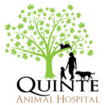 Quinte Animal Hospital Logo