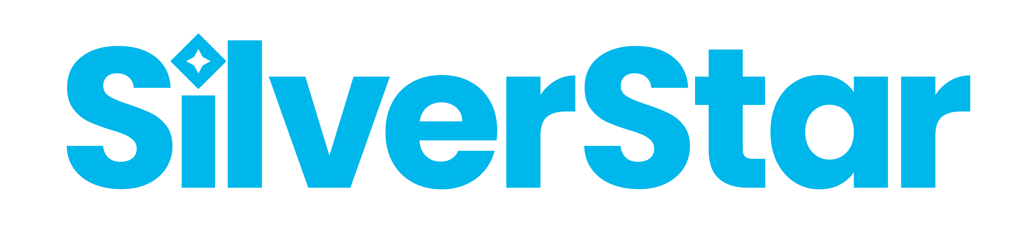 SilverStar Mountain Resort Logo