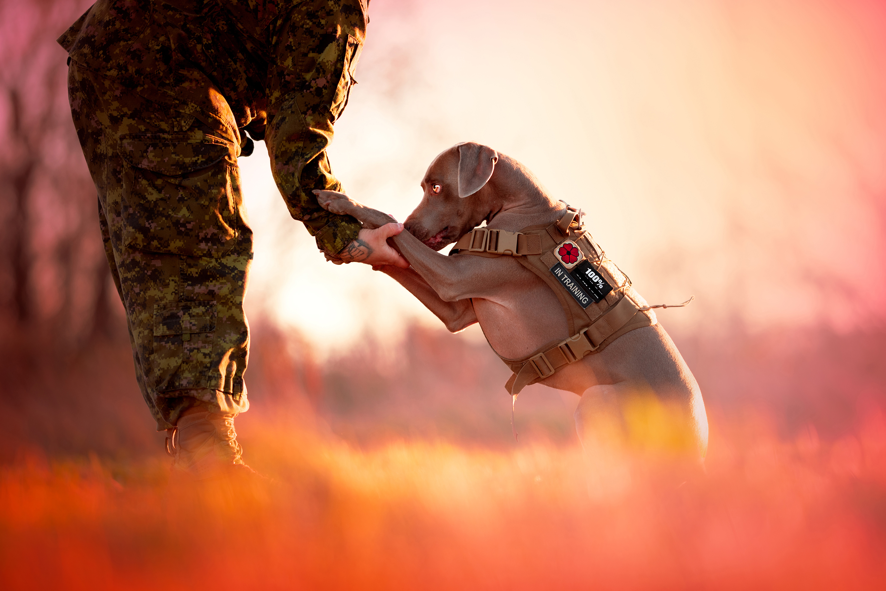 Man holding his dog