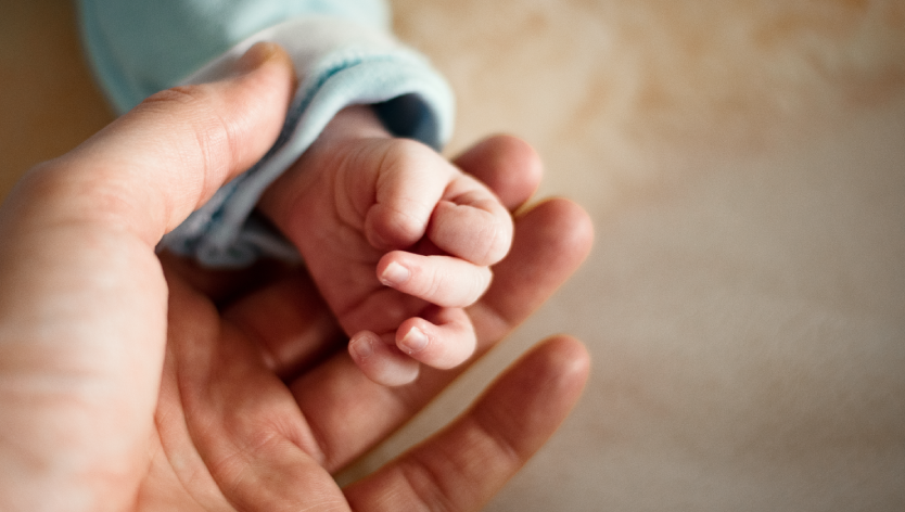 Parent and baby's hands
