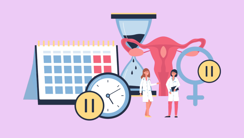 Illustration of menstrual cycle and reproductive health tracking