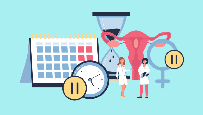 Illustration of menstrual cycle and reproductive health tracking