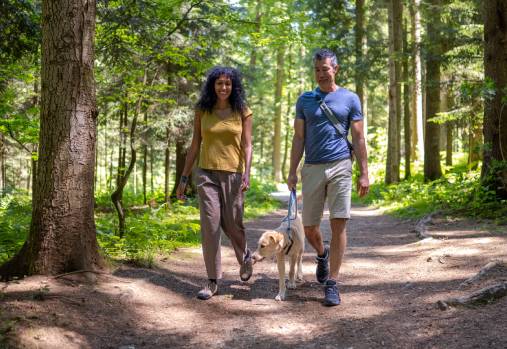 couple walking in the forest