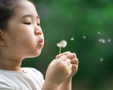 child blowing on a dandelion