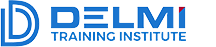 Delmi Solutions Inc Logo