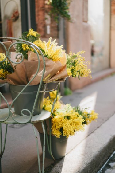 Bouquets of mamossa flowers on a rustic outdoor chair